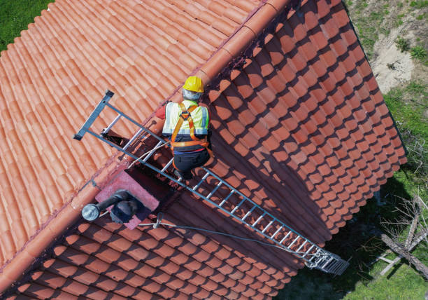 Best Green or Eco-Friendly Roofing Solutions  in Elmwood, IL